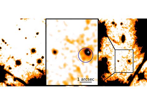 5 Surprising Facts About the Enigmatic Star