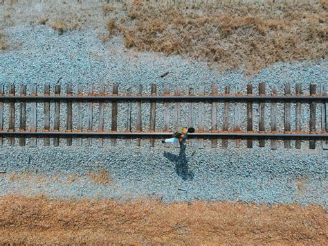 A Bird's-Eye View: Investigating the Psychological Impact of Flight