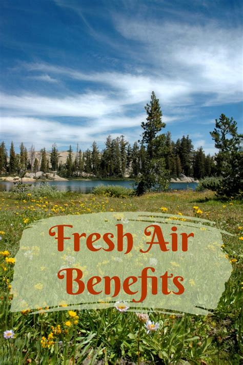 A Breath of Fresh Air: The Advantages of Mountain Air for Well-being