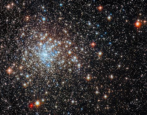 A Brief Overview of the Enigmatic Star