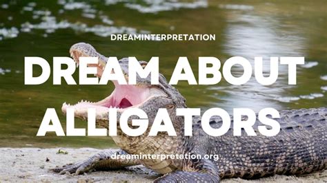 A Cautionary Signal or a Promising Opportunity? Deciphering Alligator Head Dreams in Diverse Contexts