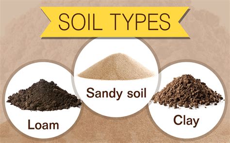 A Closer Look: Analyzing Different Types of Soil in Dreams