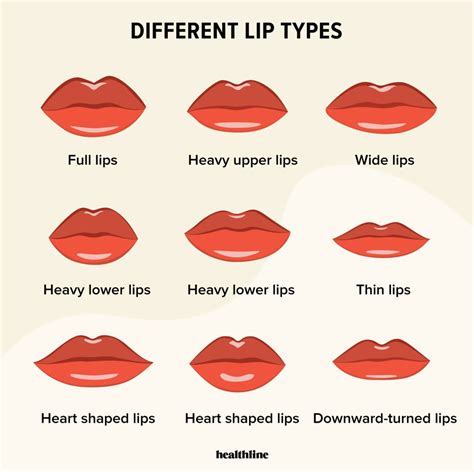 A Closer Look: Understanding Different Types of Lip Enhancements