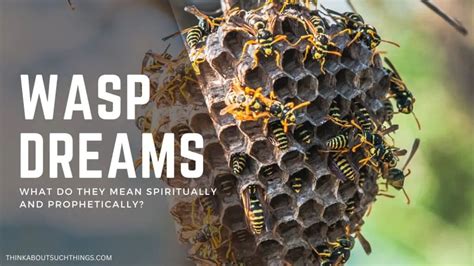 A Closer Look at Cultural and Spiritual Beliefs Associated with Wasp Dreams