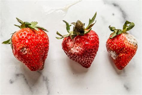 A Closer Look at Decayed Strawberries