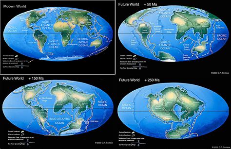 A Closer Look at Genovese's Years on Earth