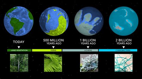 A Closer Look at Her Years on Earth