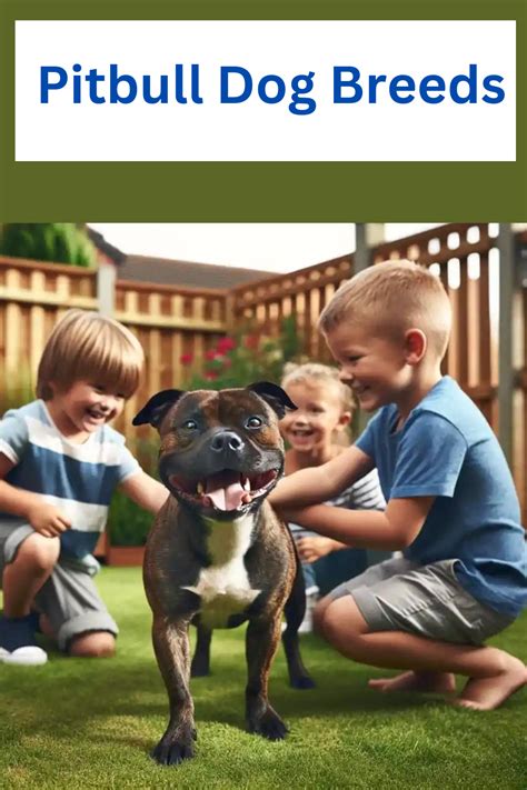 A Comprehensive Overview of the Enormous Pitbull Canine: Your Complete Handbook