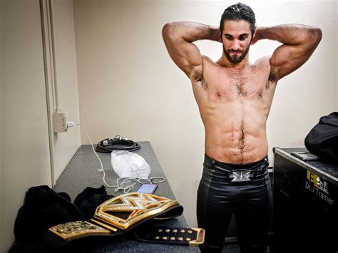 A Concise Overview of The Professional Wrestler Seth Rollins