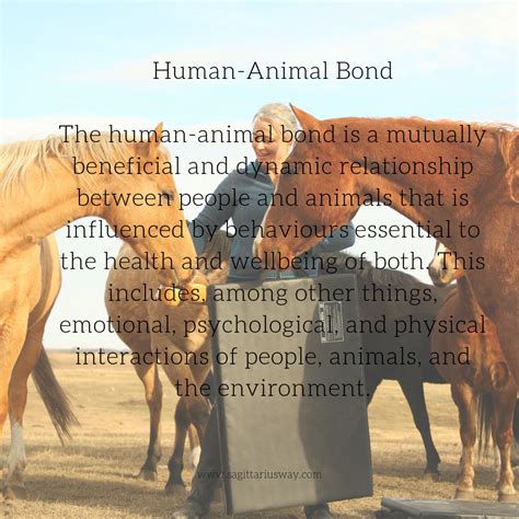 A Connection to Nature: Exploring the Bond Between Equine Biomatter and the Environment