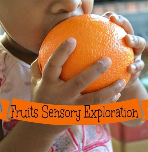 A Deeper Exploration of the Nutritional Advantages of Petite Fruits