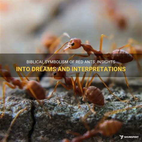 A Deeper Exploration of the Symbolic Significance of Ants in Dreams