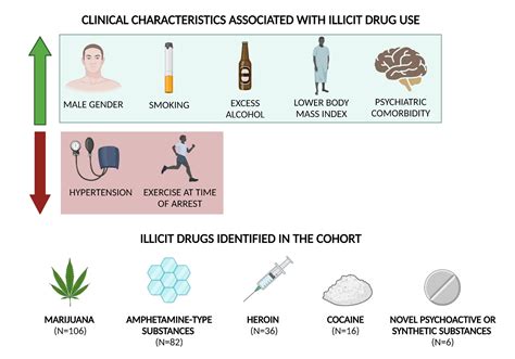 A Deeper Understanding: Exploring the Enigma of Others Engaged in Illicit Substance Transactions