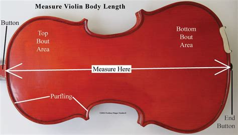 A Detailed Examination of Viola Arr's Stature