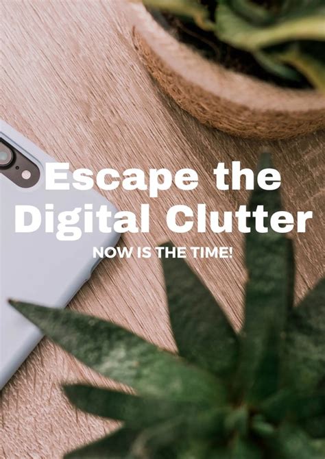 A Digital Detox: Disconnect from the Chaos and Reconnect with Nature's Harmony