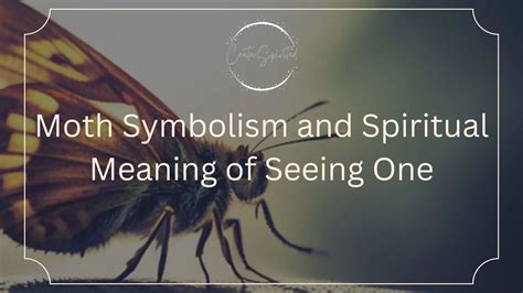 A Dive into Symbolism and Interpretation: Decoding the Significance of Accidentally Crushing Tiny Insects