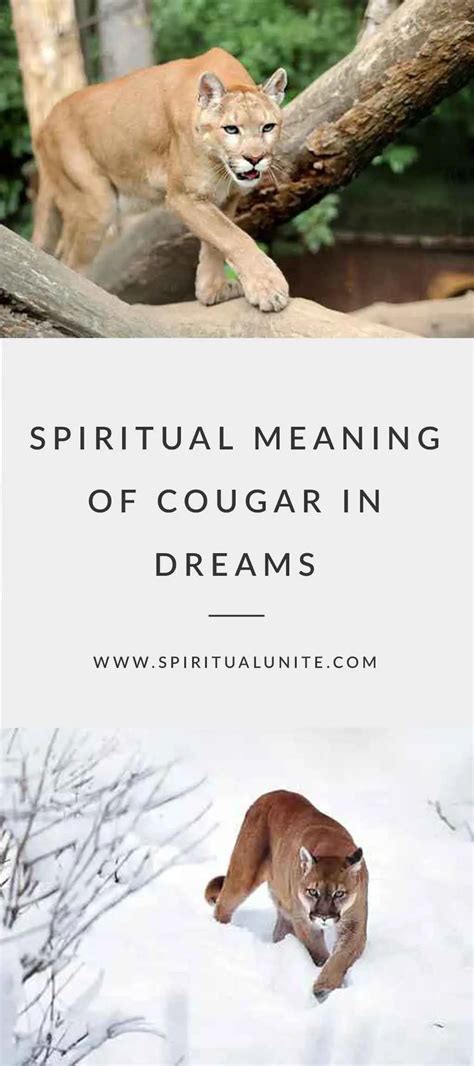 A Divine Messenger: Understanding the Spiritual Meaning of the Ivory Cougar