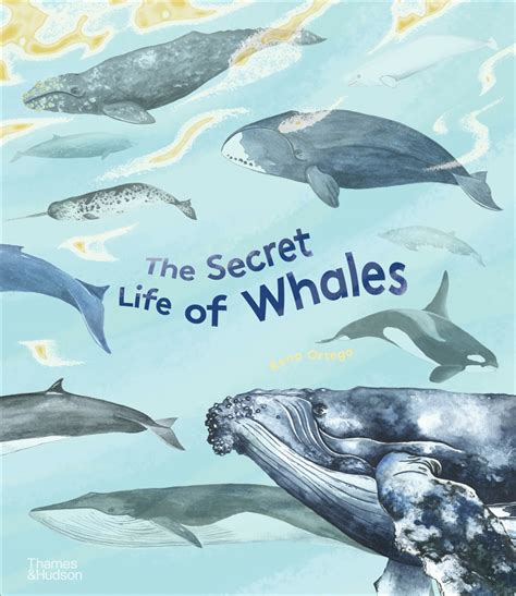 A Glimpse into the Life of Whales