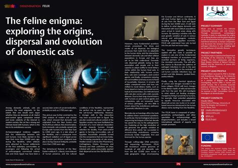 A Glimpse into the Unconscious Mind: Exploring the Enigma of a Confined Feline