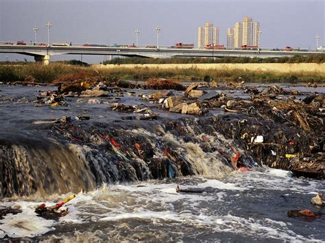 A Global Crisis: The Pollution of Rivers