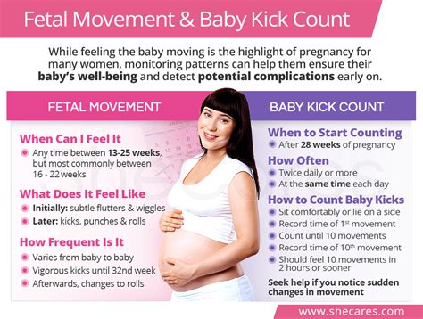 A Guide to Monitoring Fetal Movements: Tracking Your Baby's Well-being