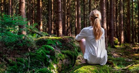 A Healing Perspective: The Therapeutic Effect of Nature's Elevated Points on Mental Well-being