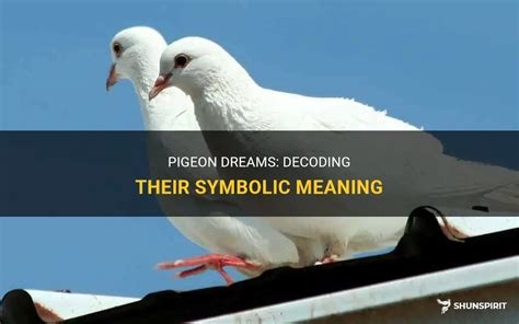 A Journey into Dream Interpretation: Decoding the Symbolic Meaning of a Majestic Enormous Pigeon