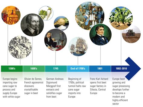 A Journey into the History of Sugary Confectionery Making