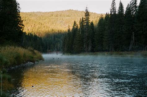 A Journey into the Pristine Ecosystems of Crystalline Waterways