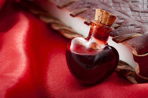 A Journey into the World of Love Potions: Myth or Reality?