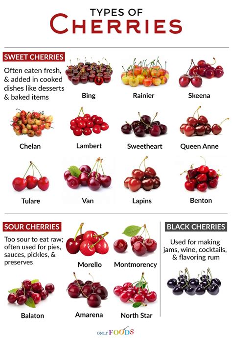 A Journey through Different Cherry Varieties: From Tart to Sweet