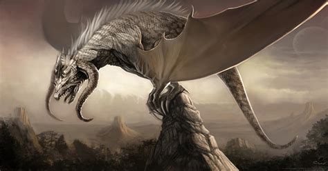 A Mythical Encounter: Exploring the World of Dragons