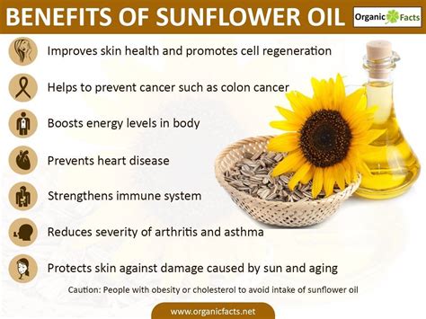 A Natural Antioxidant: Exploring the Anti-Aging Benefits of Sunflower Oil