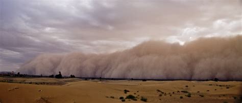 A Natural Phenomenon: Understanding the Origin and Impact of Sandstorms