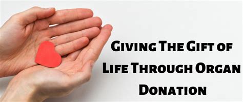 A Noble Gesture: Offering the Gift of Life through Kidney Donation