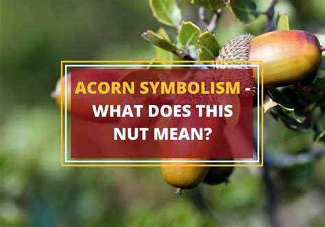 A Nutty Connection: Exploring the Symbolism of Nuts in Different Cultures