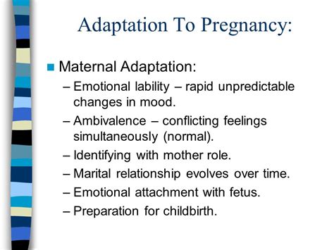 A Phenomenon Explained: Common Occurrence of Fantasizing about Different Partners during Pregnancy