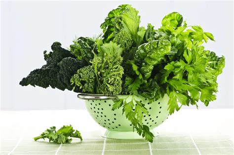 A Step-by-Step Guide to Achieving the Perfectly Prepared Leafy Green