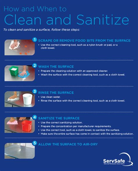 A Step-by-Step Guide to Effectively Sanitizing a Toilet's Seating Area