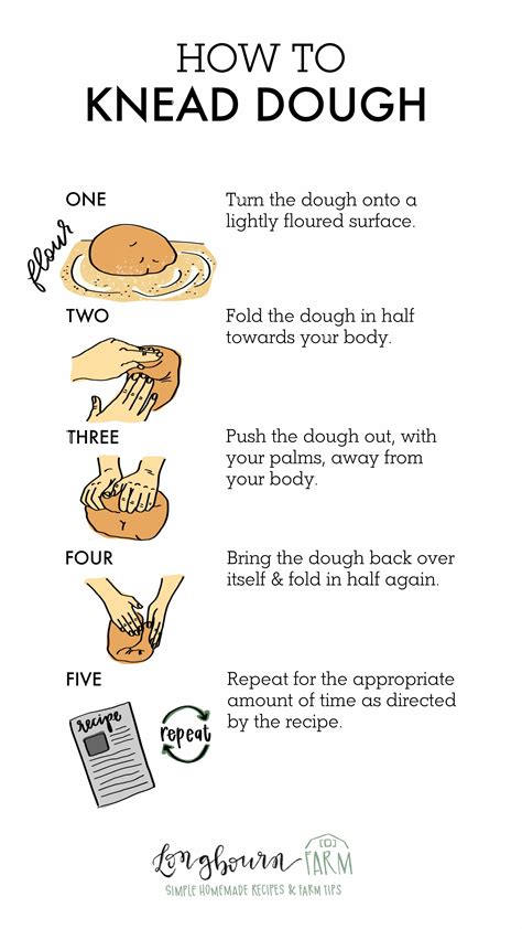 A Step-by-Step Guide to Kneading and Proofing Donut Dough