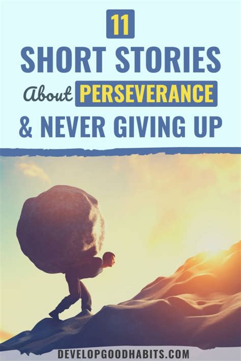 A Story of Perseverance