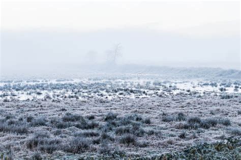 A Surreal Journey: Embracing the Ethereal Mist and Delicate Raindrops