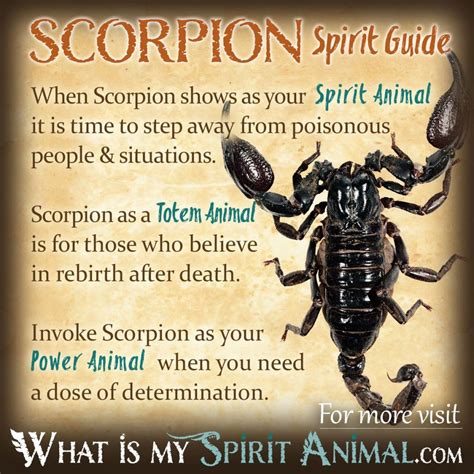 A Symbol of Concealed Perils: Unveiling the Meaning of a Scorpion in Your Oral Cavity