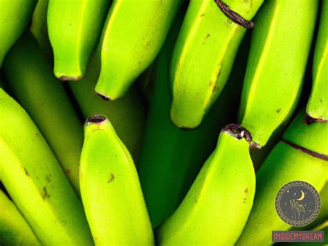 A Symbol of Growth and Potential: Exploring the Meaning of Dreaming about a Bunch of Unripe Bananas