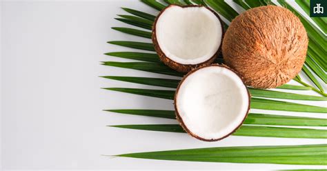 A Symbol of Purity and Fertility: Cultural and Mythical Significance of Coconut Water