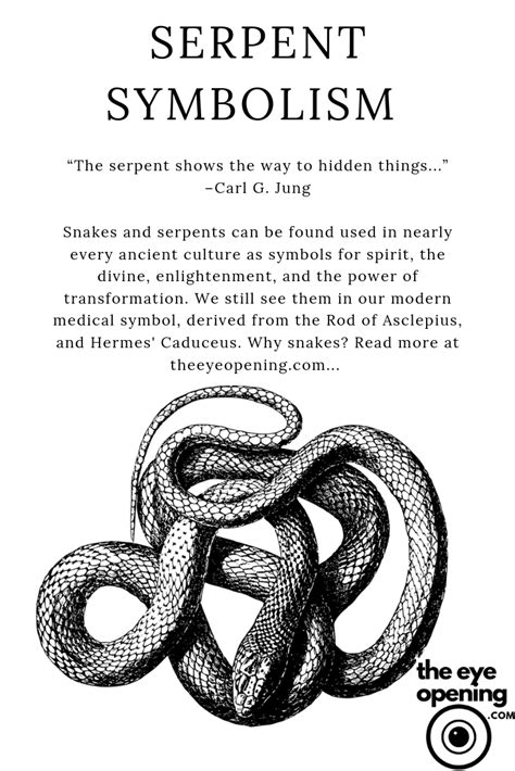 A Symbol of Transformation: Exploring the Snake's Spiritual Meaning