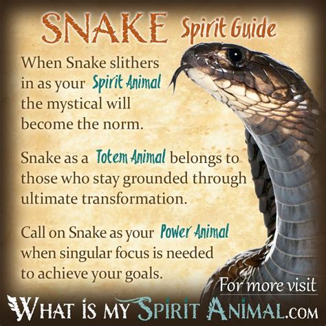 A Symbol of Wisdom and Healing: Snake Symbolism in Medicine and Spirituality