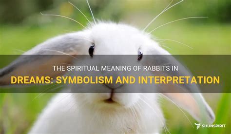 A Symbolic Interpretation: The Rabbit as a Dream Motif