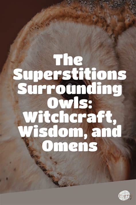 A Taste of Omens: Superstitions and Beliefs Surrounding Dreams of Uncooked Seafood