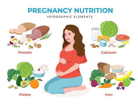 A Well-Balanced Diet for a Healthy Beginning: Essential Foods for Pregnancy